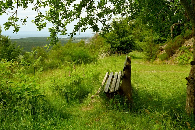 多次表达愿 多次表达愿