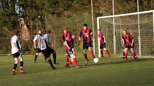 来强调球队 来强调球队