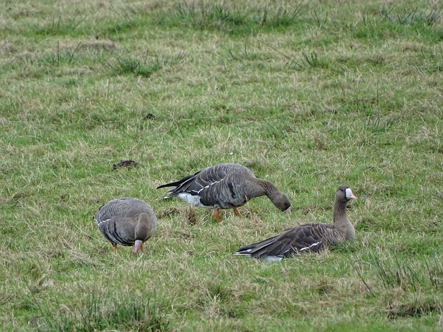 员常以严谨 员常以严谨